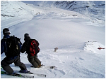 Descending 'Stale Fish'